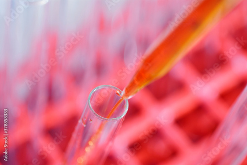 Close-up of liquid dropping into a test tube using a pipette