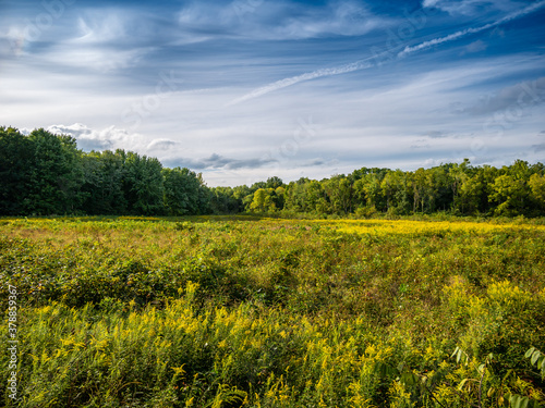 Green field with blue sky