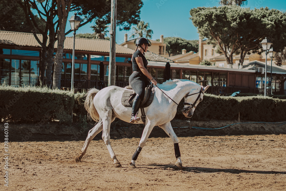 Caballo español en una hipica en andalucia con su Jinete Amazona montandolo con sus riendas y saltando en una pista Caballo español en una hipica en andalucia con su Jinete Amazona montandolo con sus riendas y saltando en una pista