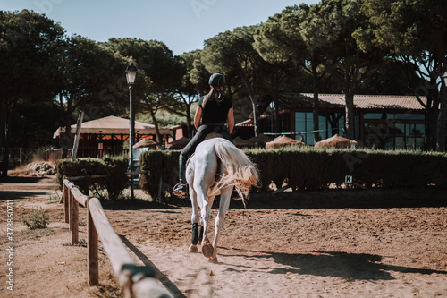 Caballo español en una hipica en andalucia con su Jinete Amazona montandolo con sus riendas y saltando en una pista  photo