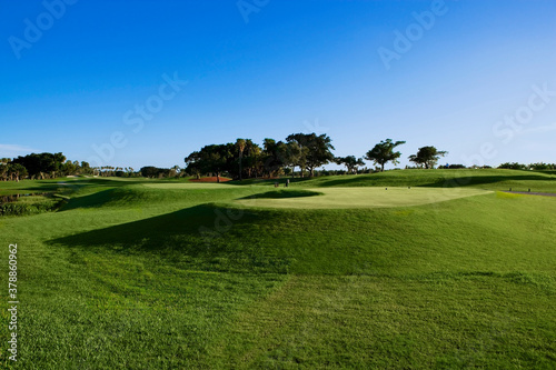 Trees in a golf course  © VisualEyze