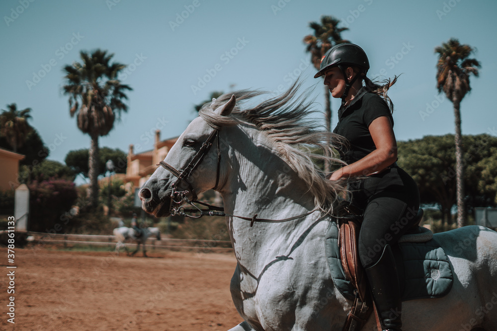 Obraz premium Caballo español en una hipica en andalucia con su Jinete Amazona montandolo con sus riendas y saltando en una pista 