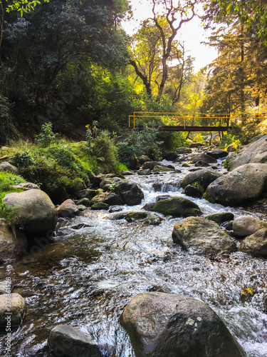 Los Dinamos - Río photo