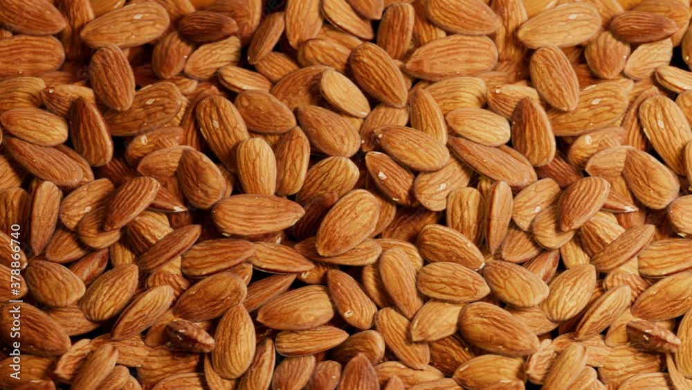 Countless amount of almonds. Trucking animation. Pile of tasty crunchy nuts. Countless amount of almonds. Trucking animation. Pile of tasty crunchy nuts.