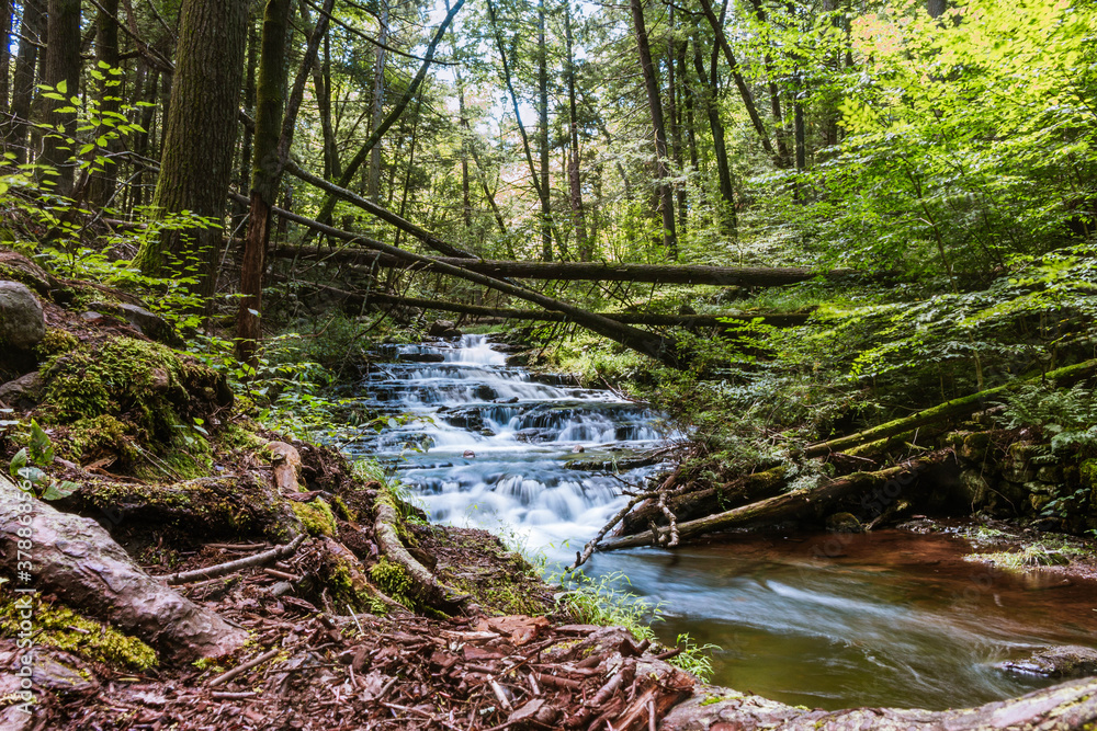 Obraz premium waterfall in the forest