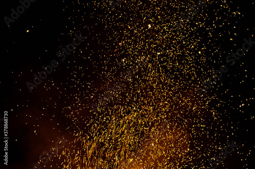 Chunks burning at Feast in the Forest Romania, burning wood / Chunks burning at Feast in the Forest Romania, burning wood