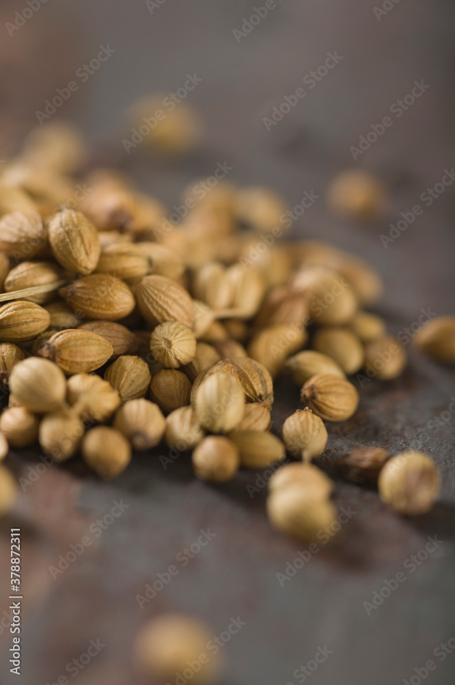 Close-up of coriander seeds Close-up of coriander seeds