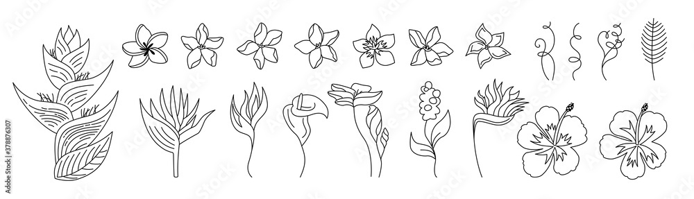 Exotic flowers cartoon set. Tropical botanical bright floral flat plants. Wild flowers collection. Hawaiian hand drawn color jungle. Plumeria, heliconia and strelitzia. Vector illustration Exotic flowers cartoon set. Tropical botanical bright floral flat plants. Wild flowers collection. Hawaiian hand drawn color jungle. Plumeria, heliconia and strelitzia. Vector illustration