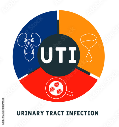 UTI -  urinary tract infection acronym, medical concept background. vector illustration concept with keywords and icons. lettering illustration with icons for web banner, flyer, landing page