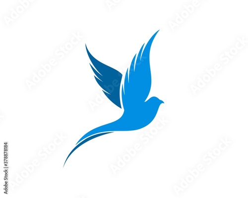 Luxury blue flying bird