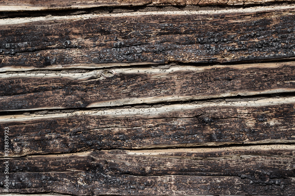 Background - the texture of burnt logs of the wall of a wooden house. Burnt wood charred texture of a log house. close-up. The walls of a wooden house after a fire. Charred coals. Summer. Sunny day. Background - the texture of burnt logs of the wall of a wooden house. Burnt wood charred texture of a log house. close-up. The walls of a wooden house after a fire. Charred coals. Summer. Sunny day.