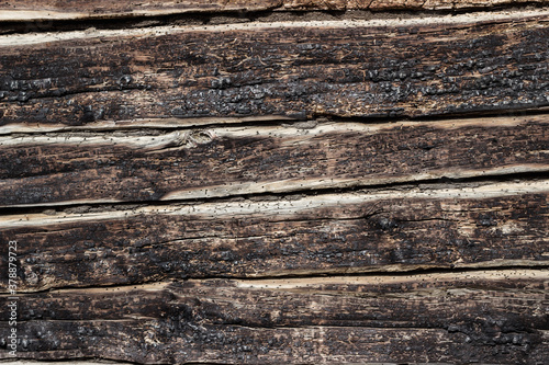 Background - the texture of burnt logs of the wall of a wooden house. Burnt wood charred texture of a log house. close-up. The walls of a wooden house after a fire. Charred coals. Summer. Sunny day.