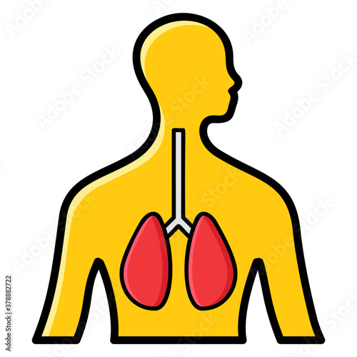 Respiratory System 