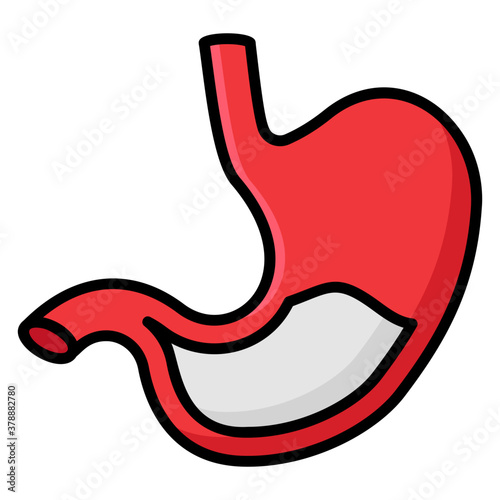 Stomach