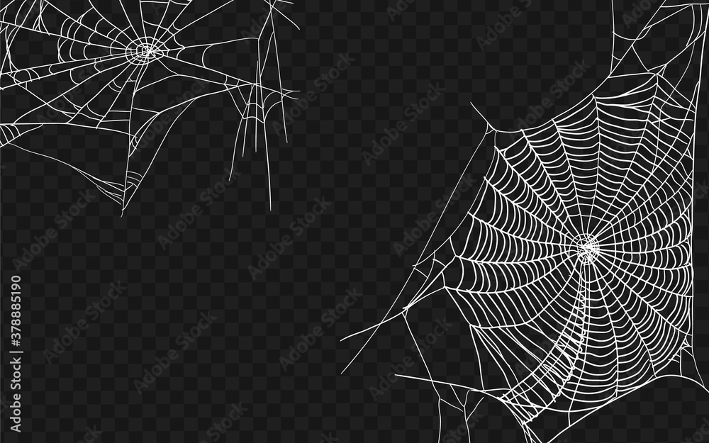 Halloween monochrome spider web. Set of different spiderwebs isolated on black, easy to print. Halloween set with web. Vector Illustration. - obrazy, fototapety, plakaty 