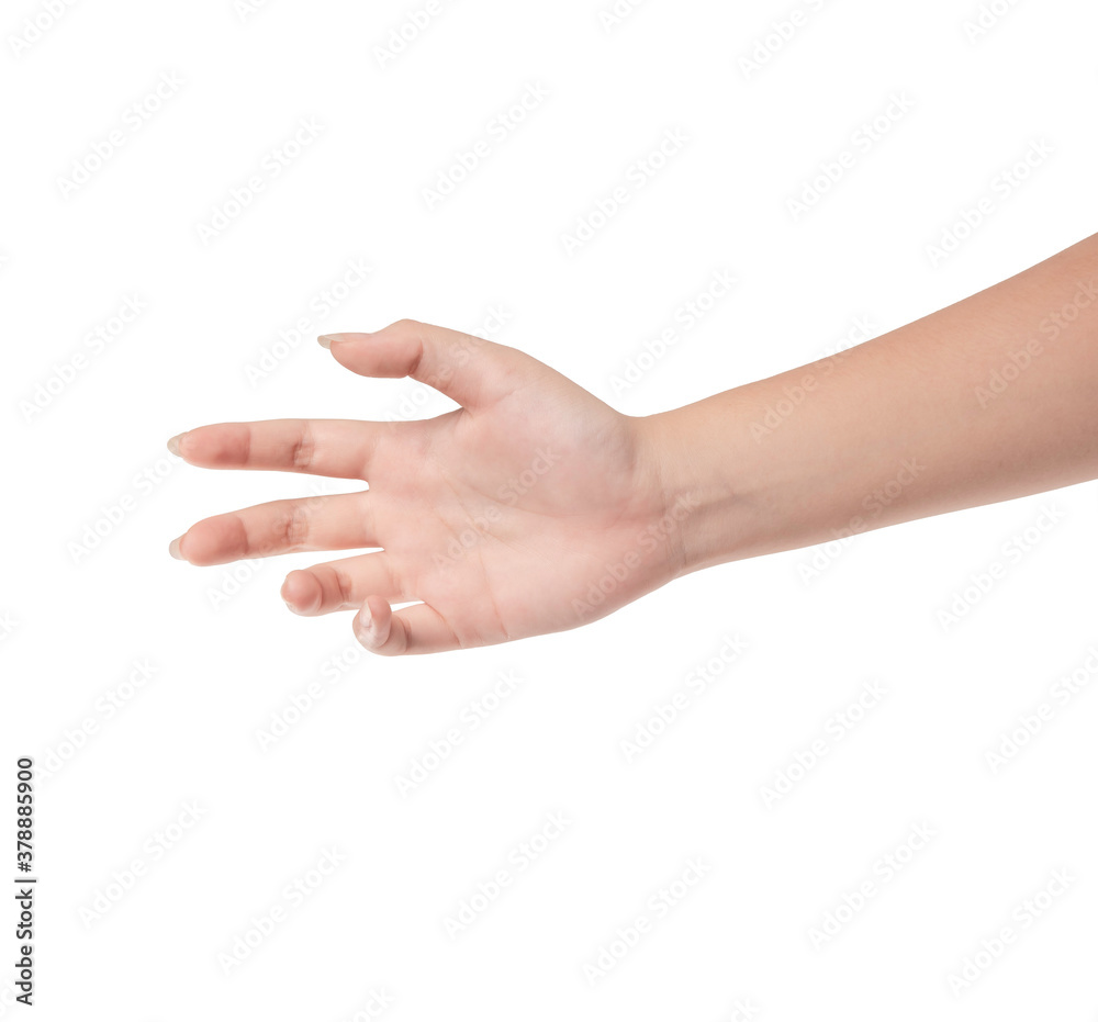 Female hand isolated on white background Female hand isolated on white background