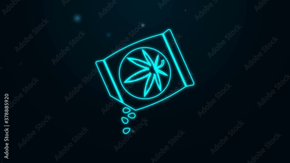 Glowing neon line Marijuana or cannabis seeds in a bag icon isolated on black background. Hemp symbol. The process of planting marijuana. 4K Video motion graphic animation