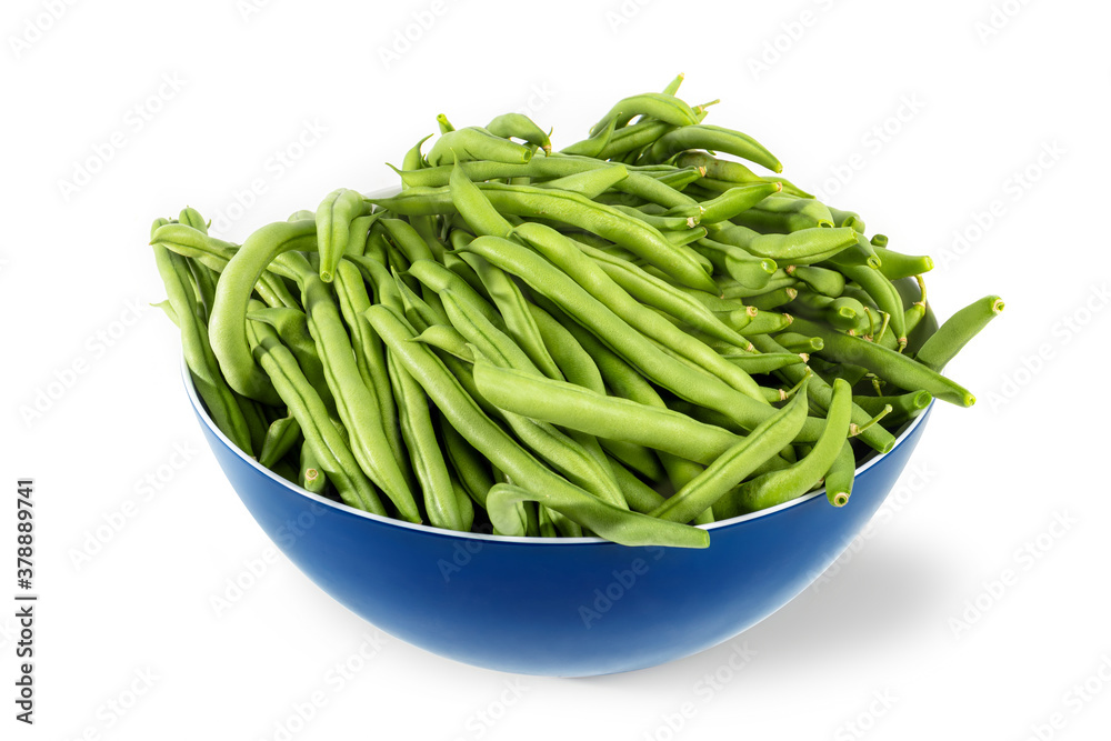 Perspective view of many green beans in a kitchen bowl. Blue plastic mixing container with raw green beans spilling over the edge. Fresh picked from garden. Isolated on white Perspective view of many green beans in a kitchen bowl. Blue plastic mixing container with raw green beans spilling over the edge. Fresh picked from garden. Isolated on white