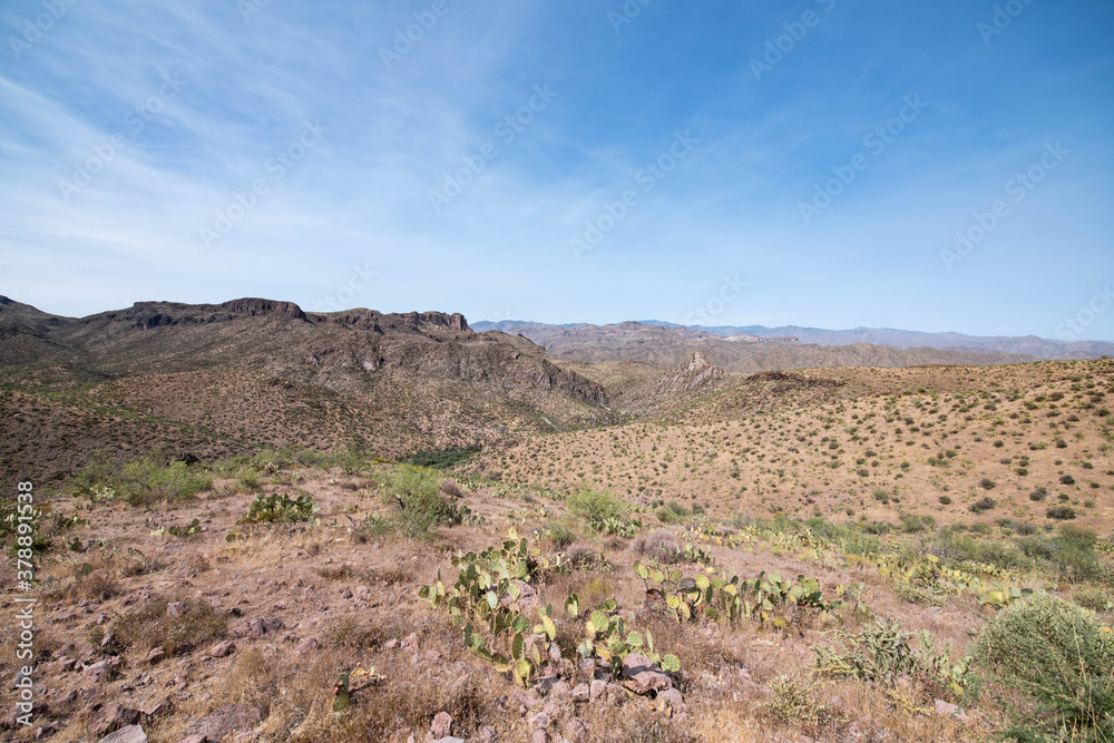 Desert landscape near Castle Hot Springs