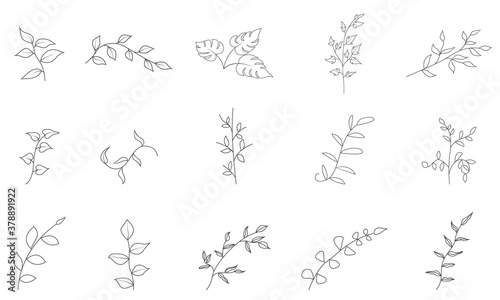 Botanical Drawing vector set of floral elements