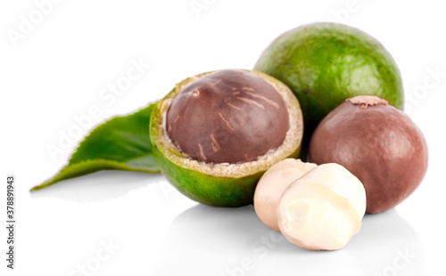 Macadamia nut on white background
