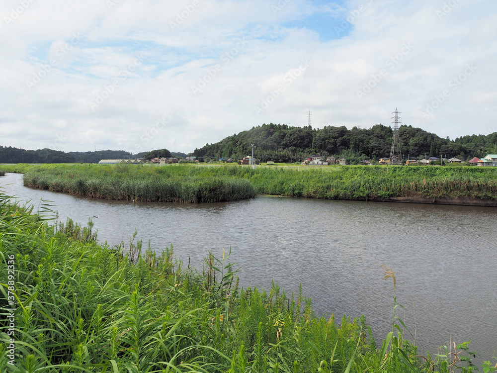 小野川放水路の風景
OLYMPUS DIGITAL CAMERA