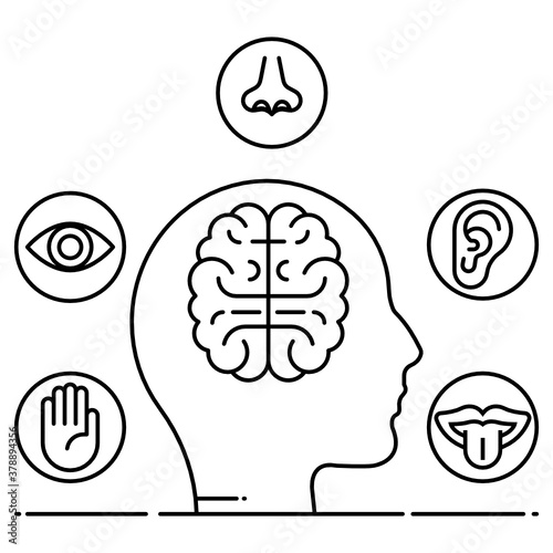 
An icon design of sensory activities, flat vector 
