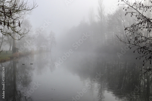 fog on the river
