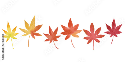 もみじの葉6枚 水彩画 緑から黄色に色づく紅葉グラデーション