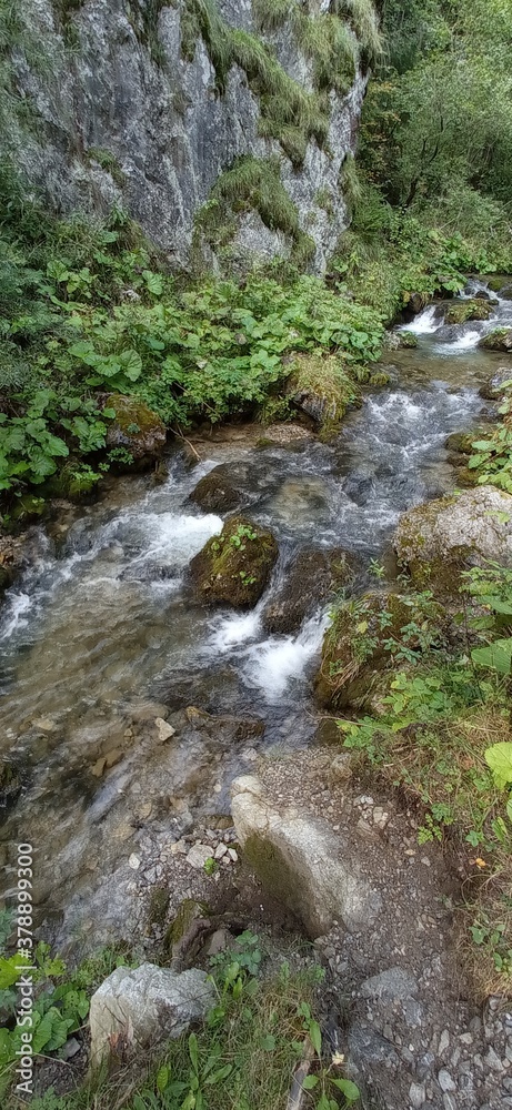 nature nature