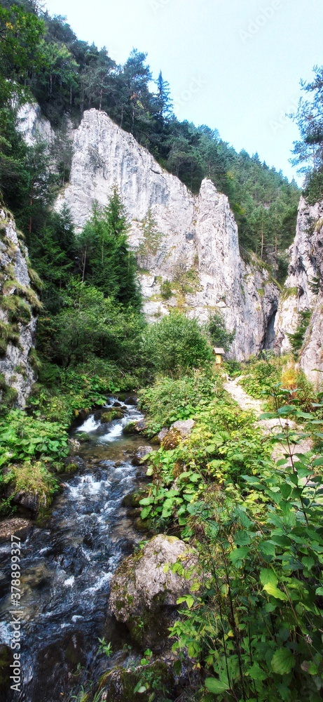 nature nature