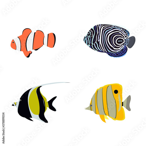 Vector illustration of a set of tropical fish