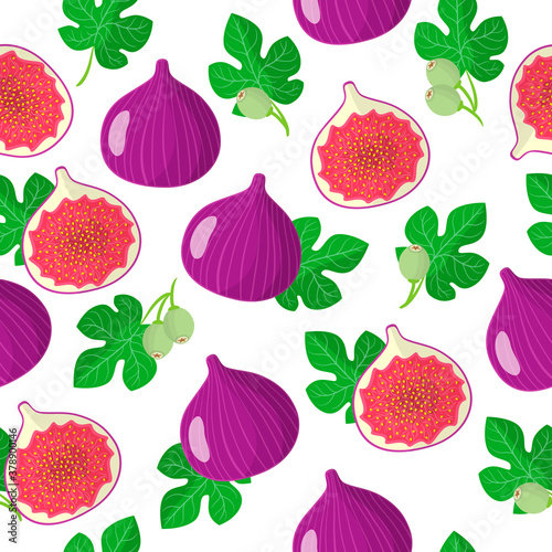 Vector cartoon seamless pattern with Ficus carica or Figs exotic fruits, flowers and leafs on white background