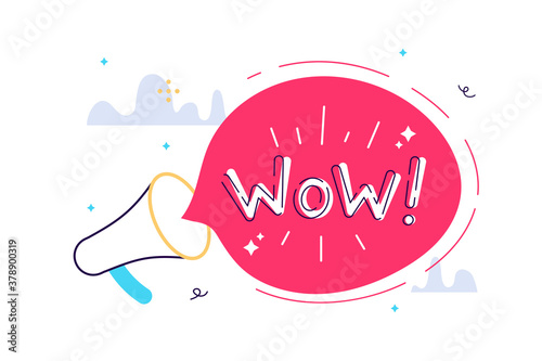 WOW - message bubble speech bullhorn. 