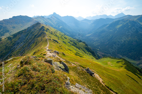 Fototapeta Naklejka Na Ścianę i Meble -  mountain range with trail in High Tatra mountains Poland and Slovakia border