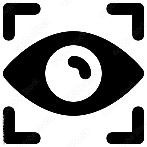 
Iris recognition icon in solid design, biometric identification concept 
