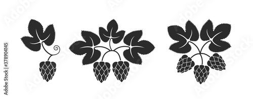 Hop logo. Isolated hop on white background. Branch 