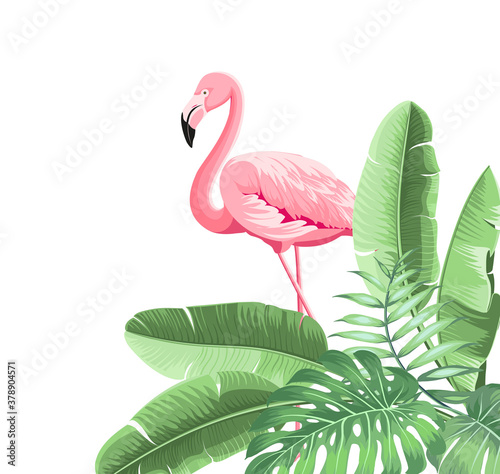 Summer tropical frame exotic banana leaf. Design background for card,invitation,poster.