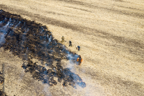 On the field after harvesting grain crops burning stubble and straw. Factors causing smoke in atmosphere and global warming. Smoke from burning of dry grass (drone image). Small animals are bending photo