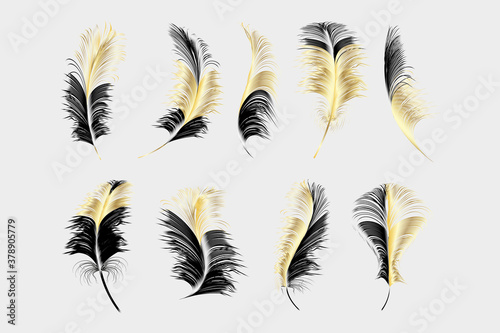 Vector gold feathers collection.