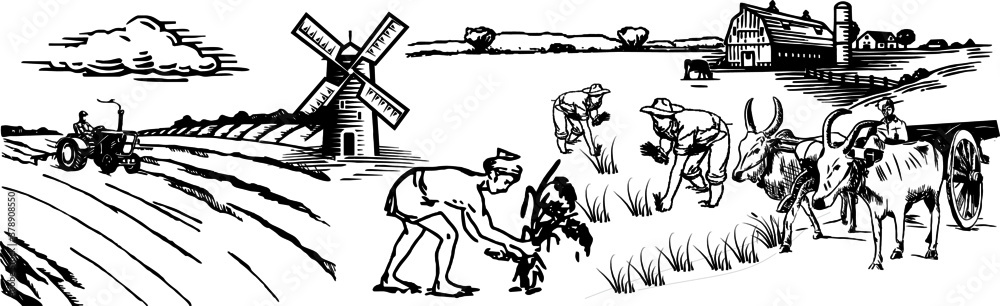 Vector Drawing of Farmer and Farming with bullock, and tractor working in field, Tuscany Landscape, rural field with ripe wheat on background of mill and village, clouds, old Barn, house, trees, plant