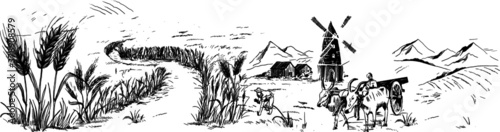 Vector Drawing of Farmer and Farming with bullock, and tractor working in field, Tuscany Landscape, rural field with ripe wheat on background of mill and village, clouds, old Barn, house, trees, plant