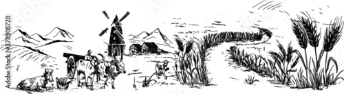 Vector Drawing of Farmer and Farming with bullock, and tractor working in field, Tuscany Landscape, rural field with ripe wheat on background of mill and village, clouds, old Barn, house, trees, plant