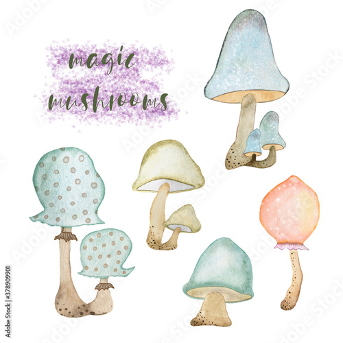 Watercolor illustration of a set of magic mushrooms. Drawn by hand with watercolors and is suitable for all types of design and printing.