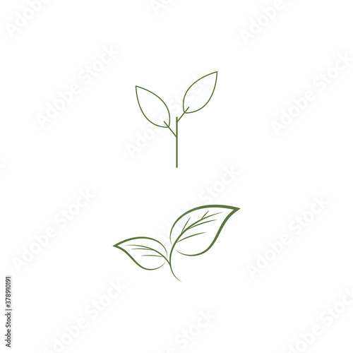 Leaf line icons vector leaves logo design
