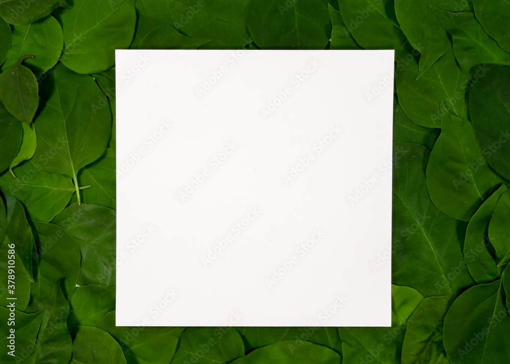White paper note on green leaves background