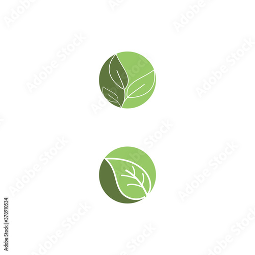 Leaf line icons vector leaves logo design