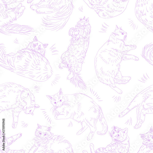 cute cats seamless pattern. pets vector background