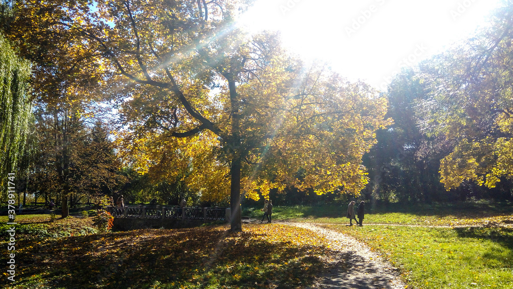golden autumn in the park. rest time outdoor on a sunny day