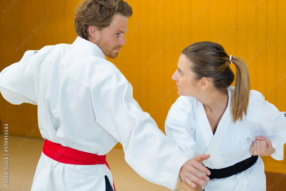 Obraz premium portrait of two judokas fighters